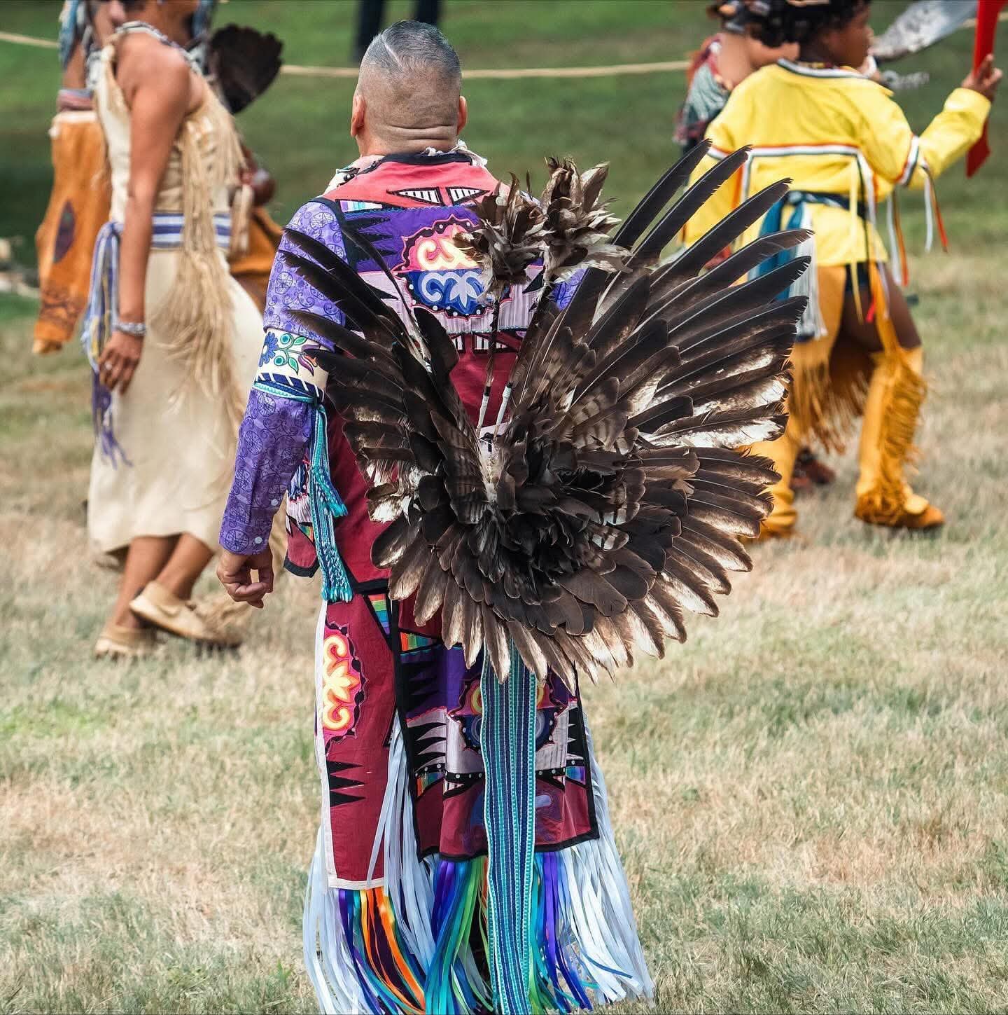 A dancer's back view showing a large eagle-wing bustle regalia piece
